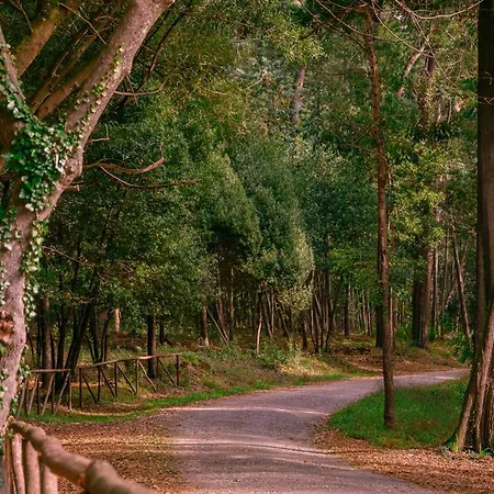 Pajaro Figueira da Foz