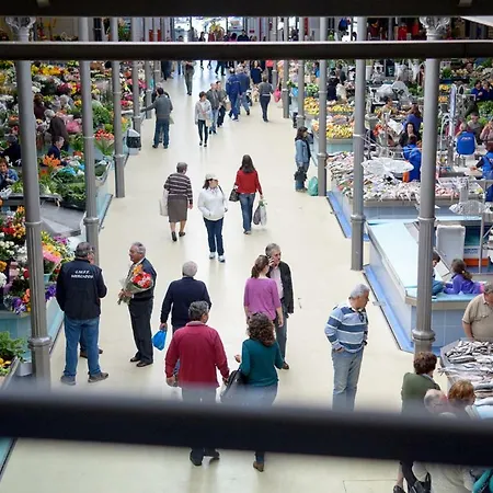 Pajaro Appartamento Figueira da Foz
