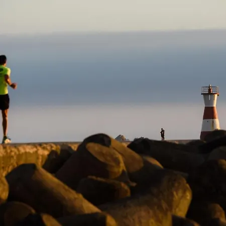 Apartamento Pajaro *