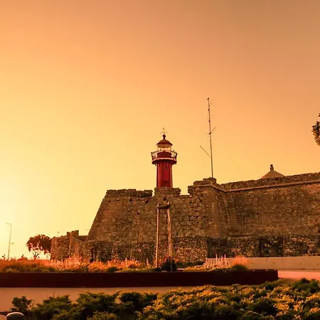 Pajaro Figueira da Foz