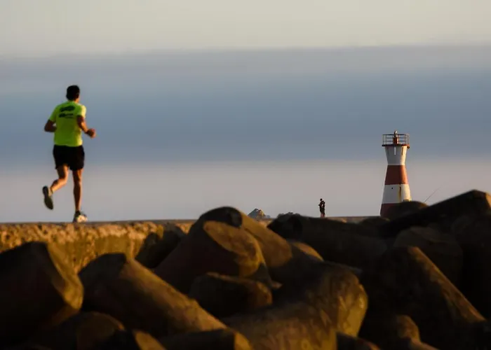 Appartement Pajaro *