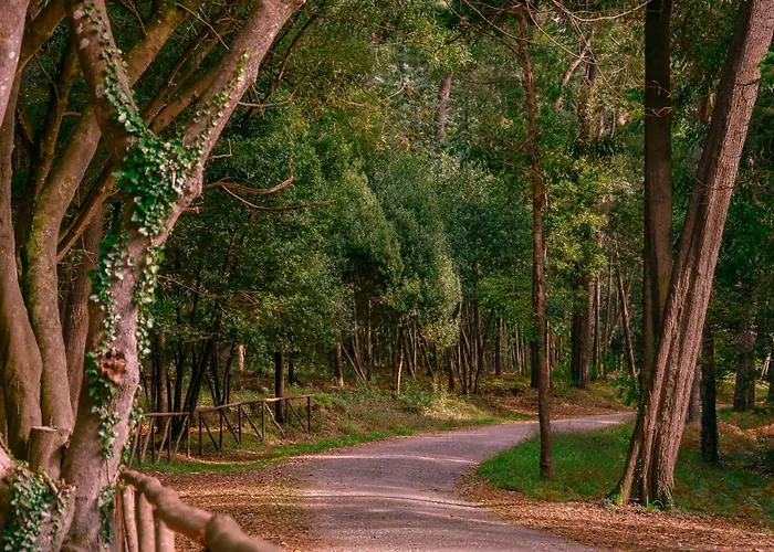 Pajaro Figueira da Foz