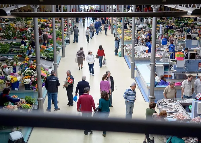 Pajaro Figueira da Foz