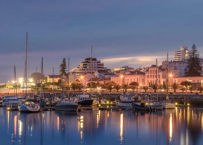 Pajaro Figueira da Foz
